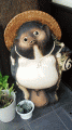 呑屋の狸　さん