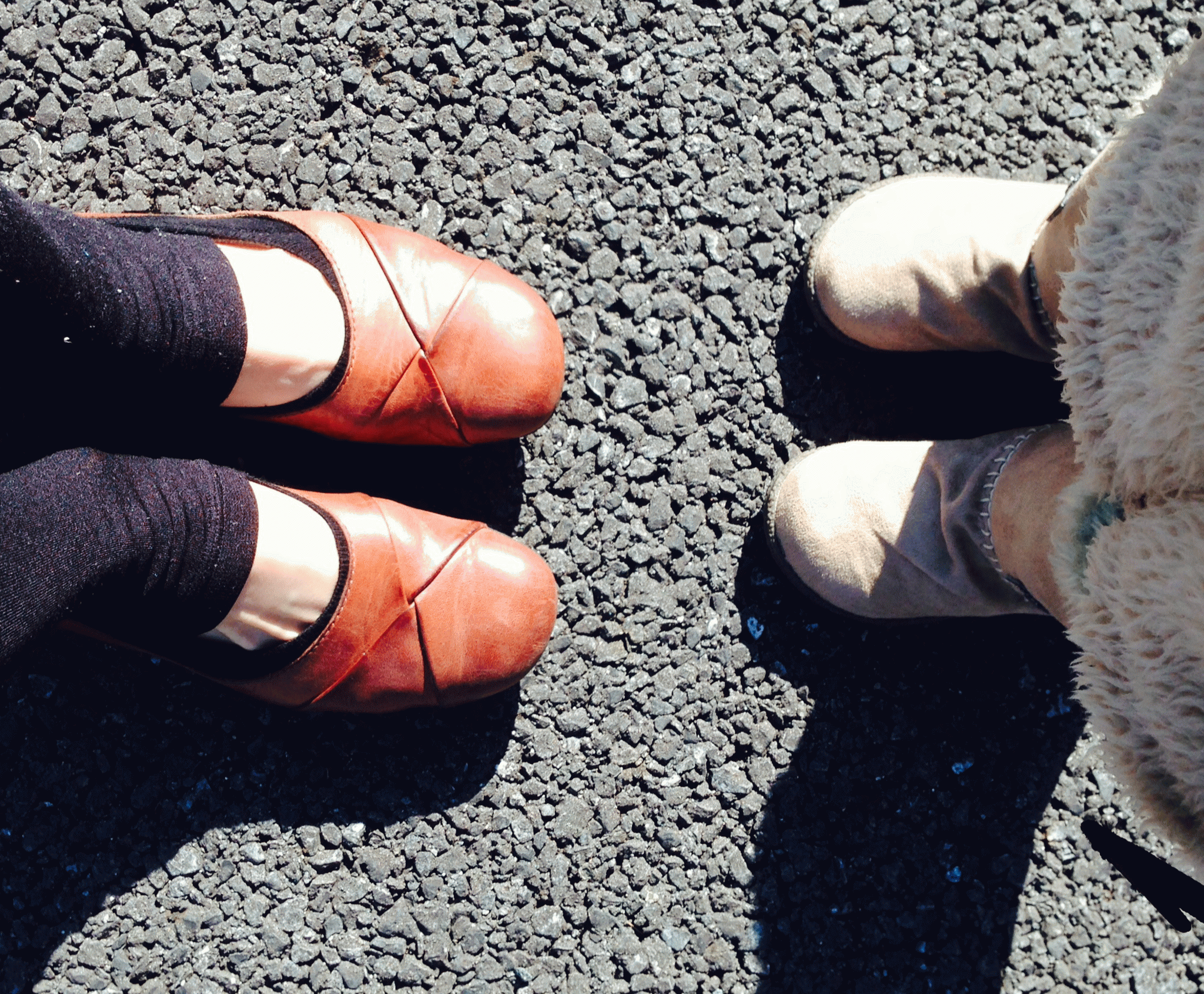 横浜5代目　さん