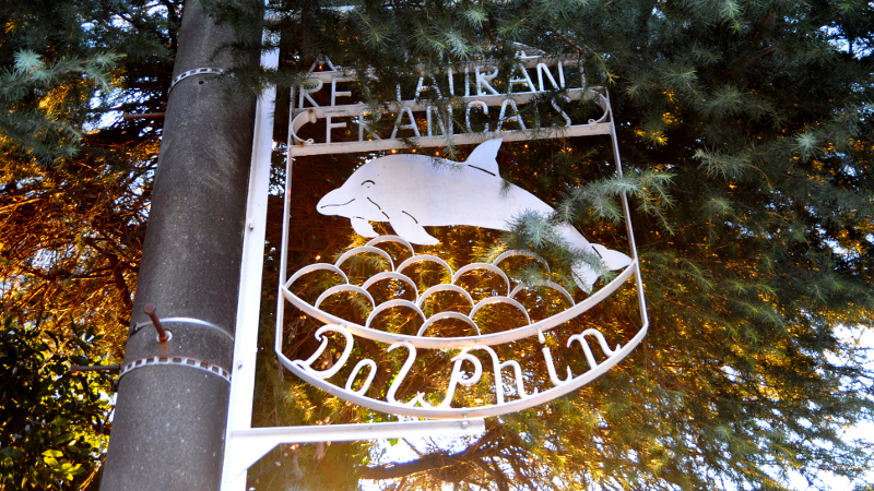 ユーミンの歌『海を見ていた午後』に出てくる「山手のドルフィン」の今はどうなっている?