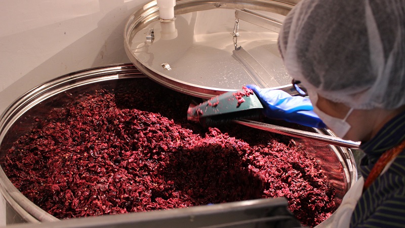 横浜で唯一のワイナリーが新山下に! 「ハマワイン」に込められた思いとは?