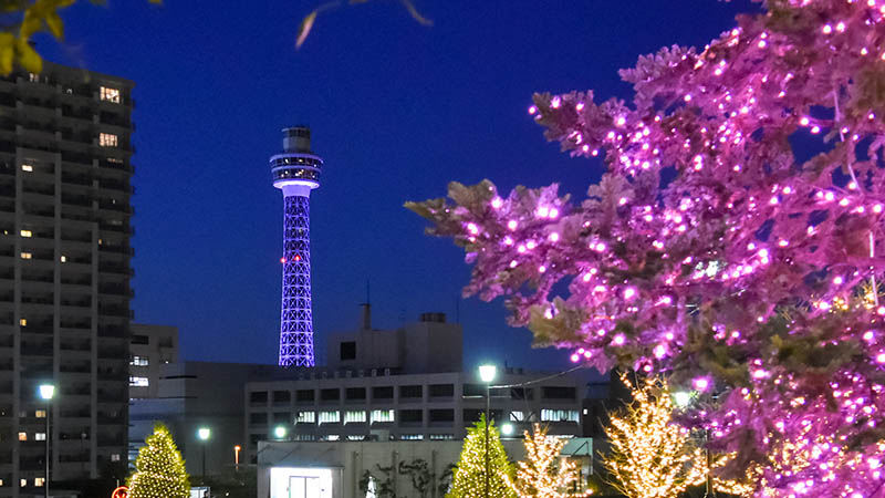 横浜マリンタワー「最後の10年」になる? 新たな運営者の募集と改修とは