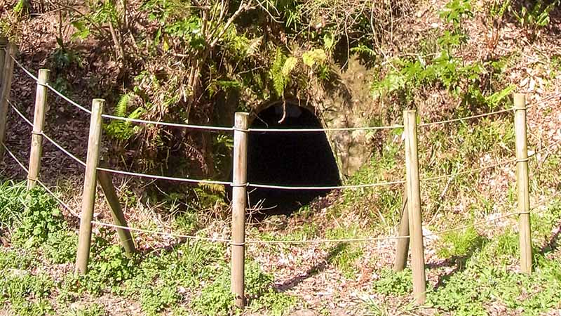 藤沢市新林公園内にある進入禁止の柵の先には何がある?