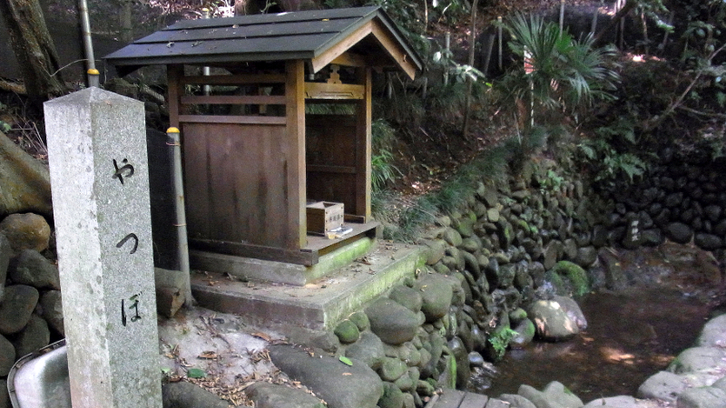 相模原の相模川沿いに点在する「ヤツボ」という水場の正体とは?