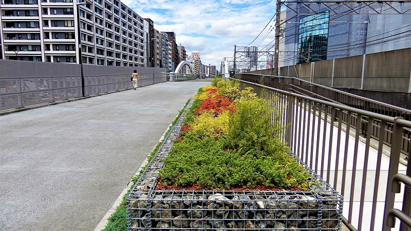 東横線跡地の遊歩道、一部供用開始の現場を散策