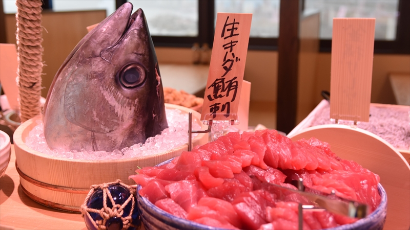 国内初!「漁港の駅 TOTOCO小田原」が小田原新港にオープン!お刺身食べ放題をレポート!