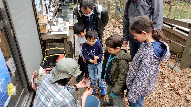 横浜の港北ニュータウンに残る里山、都筑区「茅ヶ崎公園自然生態園」とは?