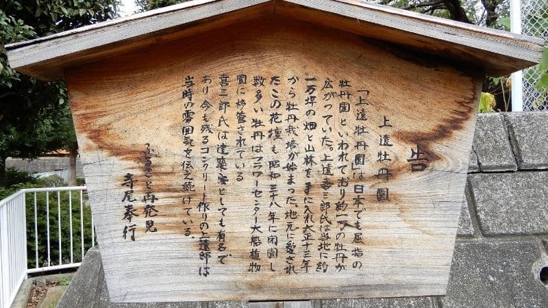 かつて鶴見にあった国内屈指の牡丹園とは?